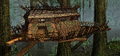 Fortress Town Hall large.gif