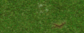 Thumbnail for version as of 11:44, 25 June 2018