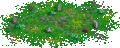 Holy Ground (h).gif