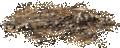 Rockland (h).gif