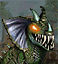 Greater Basilisk portrait.gif