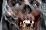 Hero Moandor small.png