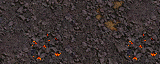 Lava (h).gif