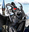 Obsidian Gargoyle portrait.gif