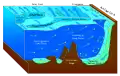 Antarctic bottom water