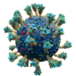 Scientifically accurate atomic model of the external structure of SARS-CoV-2. Each "ball" is an atom.