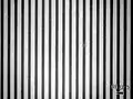 privacy screen (microscope photo)